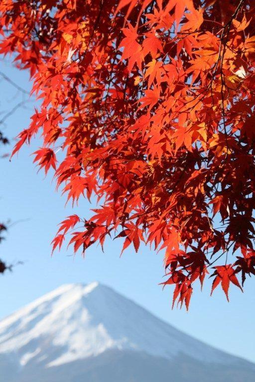 Vila 御師の家　梅谷（Umeya） Fudžikawagučiko Exteriér fotografie